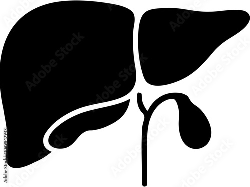 liver