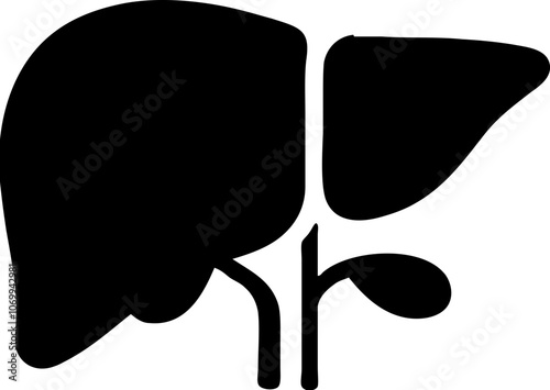 liver