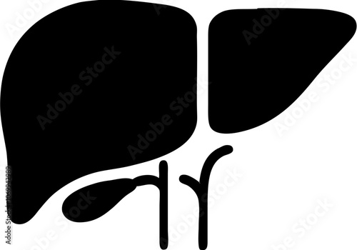 liver