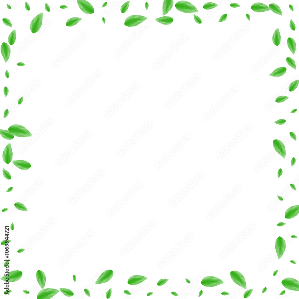 Light Green Foliage Background White Vector. Leaves Botanical Card. Herbarium Frame. Green Symbol Texture. Plant Elegant. Light Green Foliage Background White Vector. Leaves Botanical Card. Herbarium Frame. Green Symbol Texture. Plant Elegant.