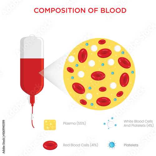 Composition of Blood Plasma, Red and White Blood Cells, and Platelets