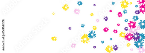 Colorful Flower Background White Vector. Plant Artistic Texture. Pink Garden Flowering Period. Exotic Illustration. Attractive Yellow Gerbera.