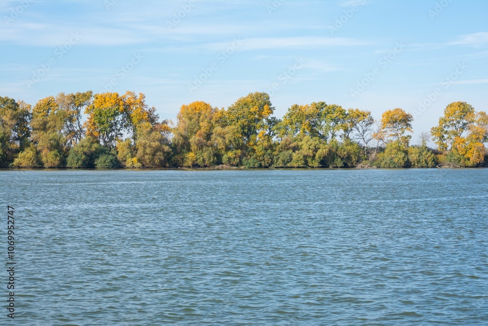 Serene lake with autumn trees and clear sky Serene lake with autumn trees and clear sky