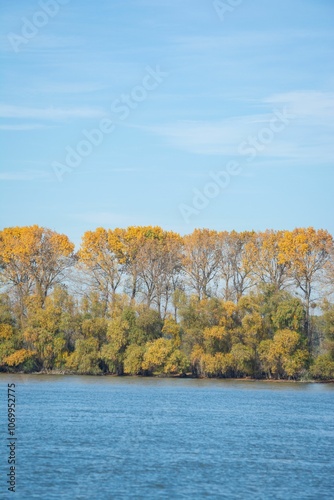 Autumn trees by a serene lake