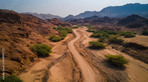 A dirt road winds through a desert landscape