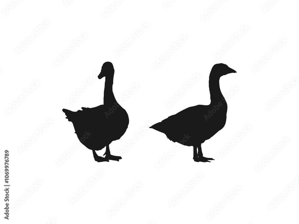 Obraz premium black duck, Collection of Goose silhouettes set. Goose Silhouette Vector Illustration Wildlife Clipart. Simple black and white flat design. Black icons isolated on white background.