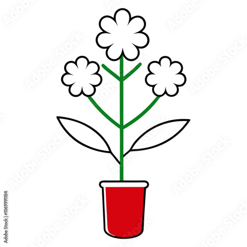 Medicinal Yarrow Flower in Pot Vector.