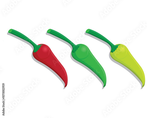 vector illustration design of three medium sized chili peppers in red, green and yellow