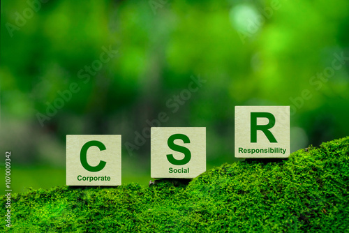 CSR, Corporate social responsibility concept. Words CSR on a woodblock on a green background. Responsive business organization, environmental, sustainable and ethical business. Sustainable.