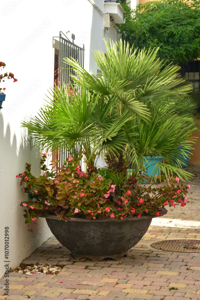 Fototapeta premium Estepona, charming old town of a Spanish town on the Costa del Sol on a summer holiday day.
