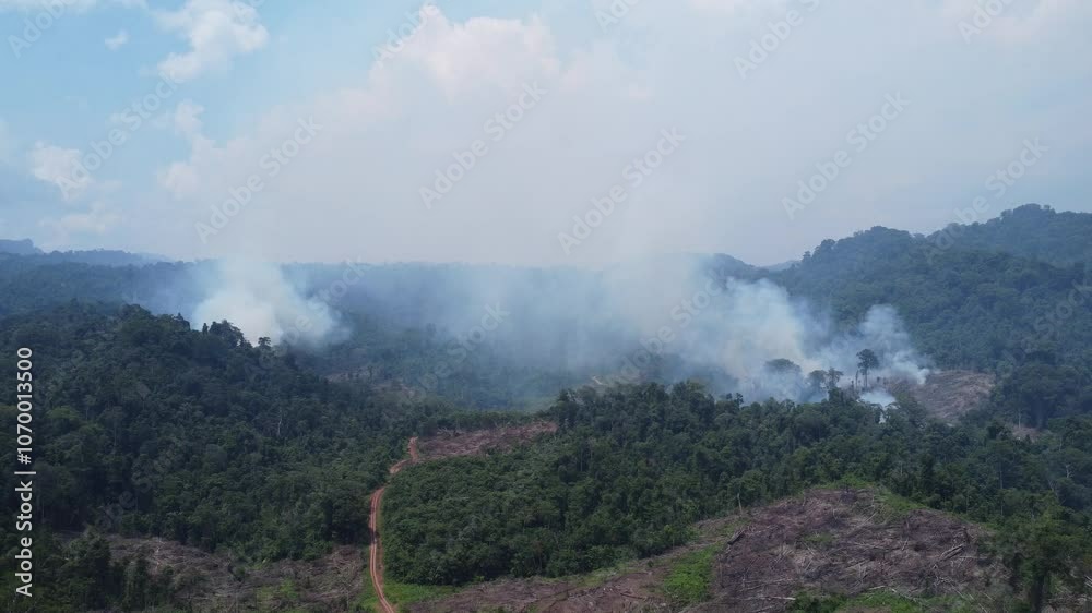 Aerial view of forest fires or forest burning to clear land in the mountainous areas of Kalimantan which produces white smoke that turns into fog Aerial view of forest fires or forest burning to clear land in the mountainous areas of Kalimantan which produces white smoke that turns into fog
