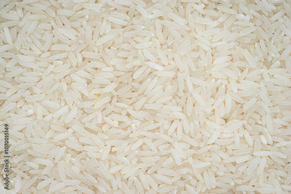 Short grains of uncooked white vietnam rice. closeup of rice grains. Texture of short rice used for sushi uncooked. high magnification Short grains of uncooked white vietnam rice. closeup of rice grains. Texture of short rice used for sushi uncooked. high magnification