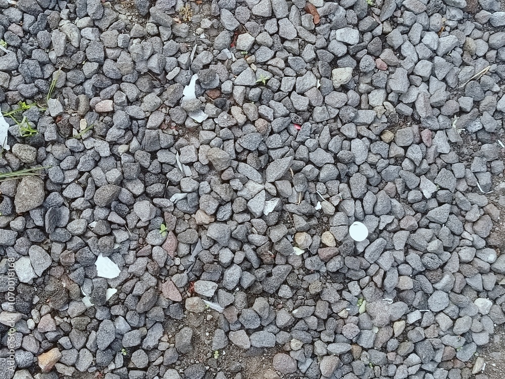 Natural Gravel Surface with Scattered Debris and Small Green Plants Natural Gravel Surface with Scattered Debris and Small Green Plants