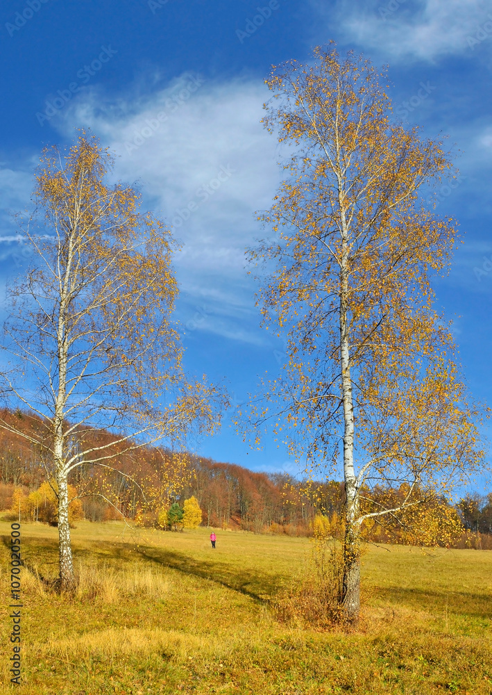 Obraz premium Autumn landscape of the Low Beskid mountains, near Wysowa Zdroj, Lesser Poland. Recreation,hiking, bicycle trips, abandoned villages of Lemkos, wooden orthodox churches.