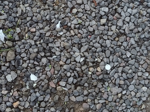 Natural Gravel Surface with Scattered Debris and Small Green Plants