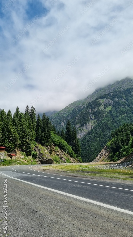 Naklejka premium road to the mountains