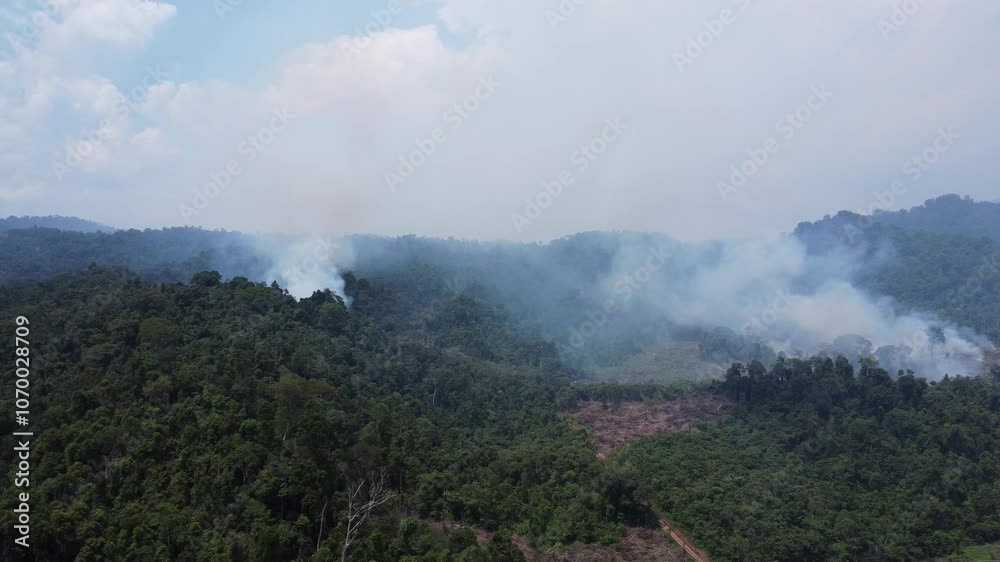 Aerial view of forest fires or forest burning to clear land in the mountainous areas of Kalimantan which produces white smoke that turns into fog Aerial view of forest fires or forest burning to clear land in the mountainous areas of Kalimantan which produces white smoke that turns into fog