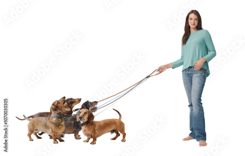 Photography Young dog sitter posing with many dogs