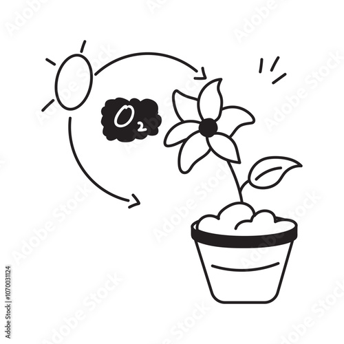 Plant converting CO2 into oxygen through photosynthesis