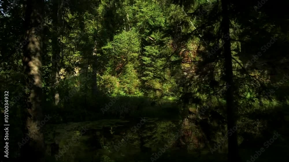 Mystical Forest Landscape with a Small Rock Outcrop on the Bank of a Small River. The Sandstone Outcrops in Latvia are Able to Captivate with their Majesty and Immeasurable Strength. Mystical Forest Landscape with a Small Rock Outcrop on the Bank of a Small River. The Sandstone Outcrops in Latvia are Able to Captivate with their Majesty and Immeasurable Strength.