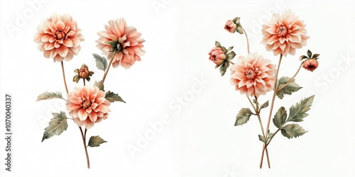 Muted Pink English Rose Watercolor with Leaf Details