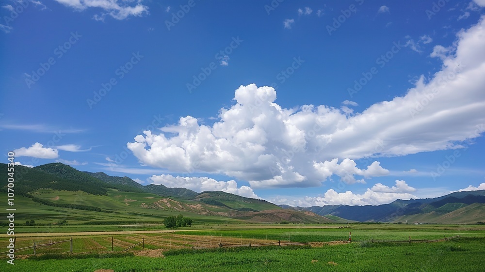 Fototapeta premium Enchanting Blue Sky, White Clouds, and Grassland Scenery: A Serene Escape