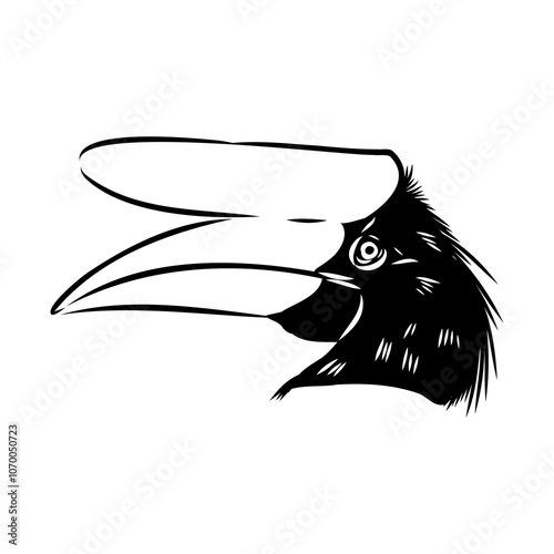 Rhinoceros hornbill. Vector sketch of hand drawn bird. Linear animals art.