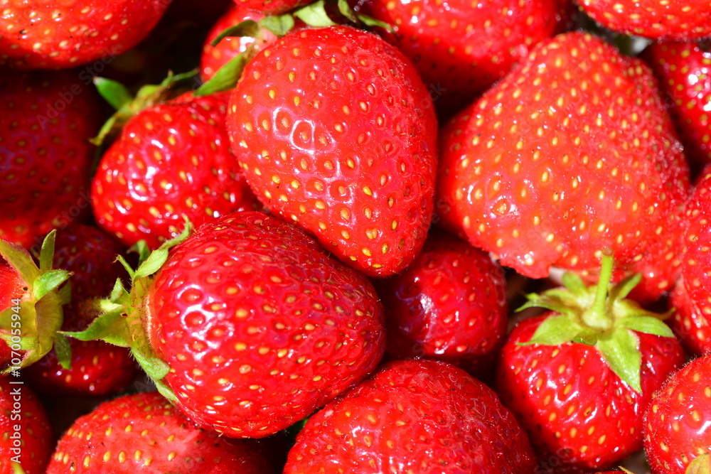 a background of red strawberries isolated macro a background of red strawberries isolated macro