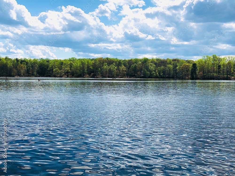 Lake view Lake view