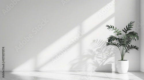 A plain white background with a subtle, light texture to add depth while maintaining a clean and minimalist look