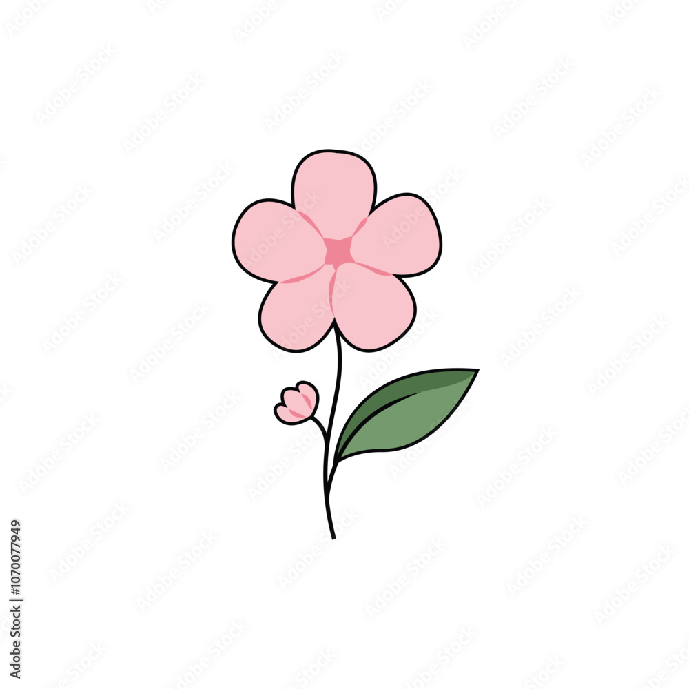 Illustration Flower Vector Illustration Flower Vector