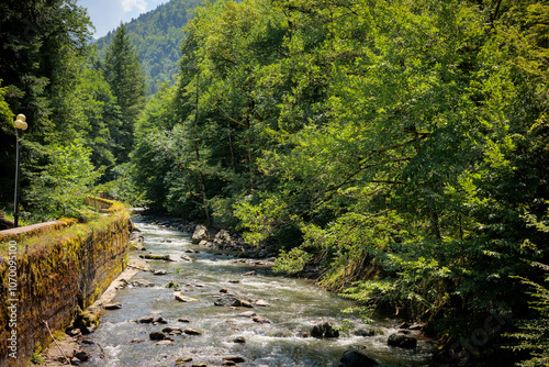 Fototapeta Naklejka Na Ścianę i Meble -  Summer view of the Borjomula River in Borjomi Central Park, Georgia. Clear water flows through lush greenery and tall trees under bright sunlight, creating a peaceful, natural atmosphere