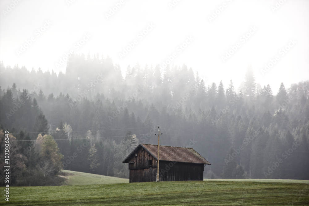 Allgäuer Landschaft im Herbst Nebel Allgäu Allgäuer Landschaft im Herbst Nebel Allgäu