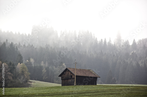 Allgäuer Landschaft im Herbst Nebel Allgäu