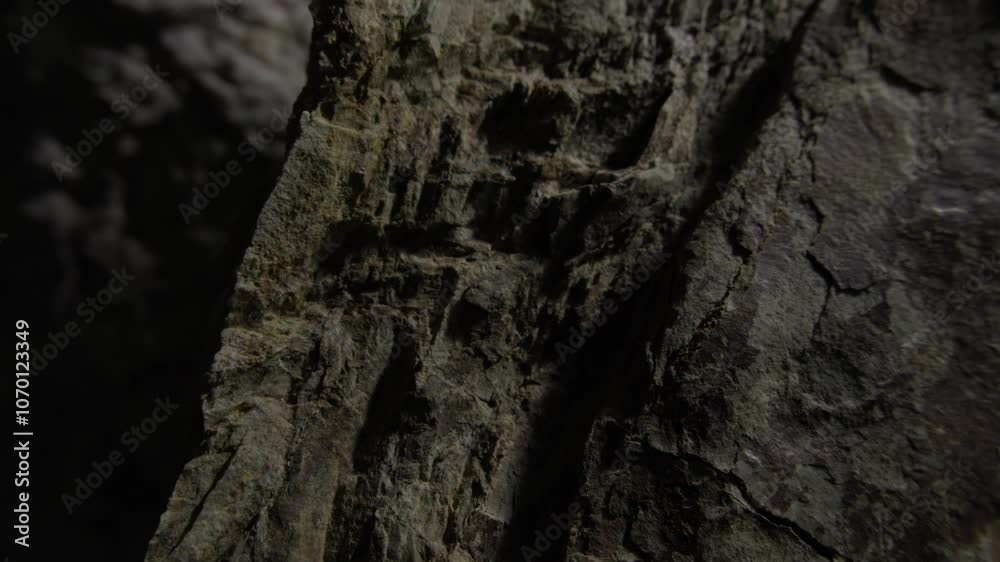 Rugged rock close-up with textured surface. Rugged rock close-up with textured surface.