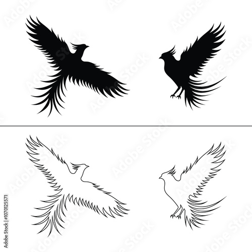 A silhouette and outline of black phoenix with wings, isolated on the white background. A set of vector illustrations
