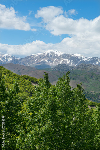 Green plains, snowy mountains. Blue sky and snowy mountains. Snowy mountains of Tunceli. Pülümür Valley, Buyer Mountain, Sarıgül Plateau, Buyer Waterfall.Munzur, Tunceli, Türkiye.
 photo