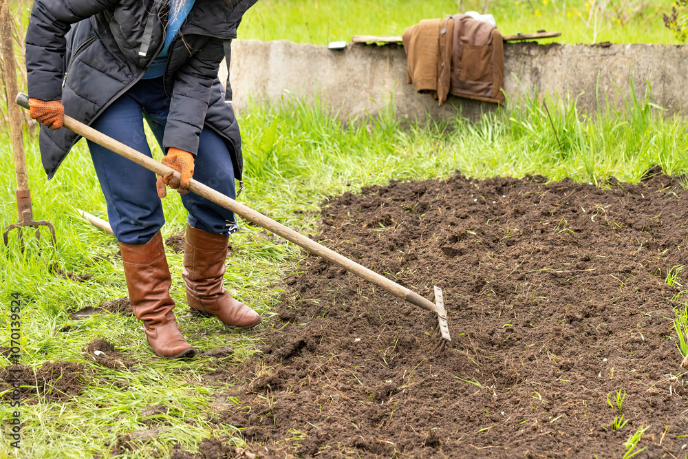 Gardener cultivating rich soil while preparing for spring planting in a lush green backyard