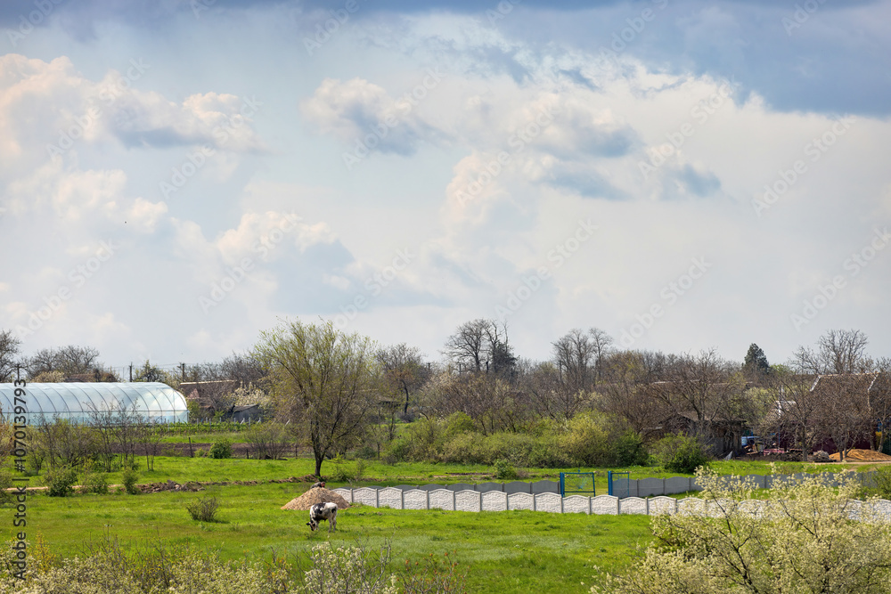 A peaceful rural landscape with clouds over vibrant fields and a farmer tending crops in spring