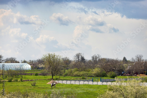 Obraz na płótnie A peaceful rural landscape with clouds over vibrant fields and a farmer tending crops in spring w salonie