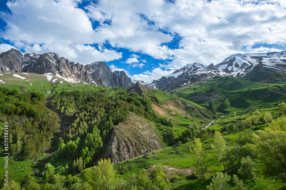 Naklejka premium Green plains, snowy mountains. Blue sky and snowy mountains. Snowy mountains of Tunceli. Pülümür Valley, Buyer Mountain, Sarıgül Plateau, Buyer Waterfall.Munzur, Tunceli, Türkiye. 