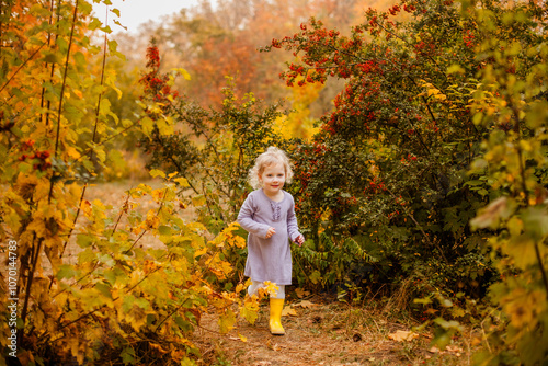 Toddler girl in purple dress, white tights, and yellow rubber boots playing happily with leaves in autumn park