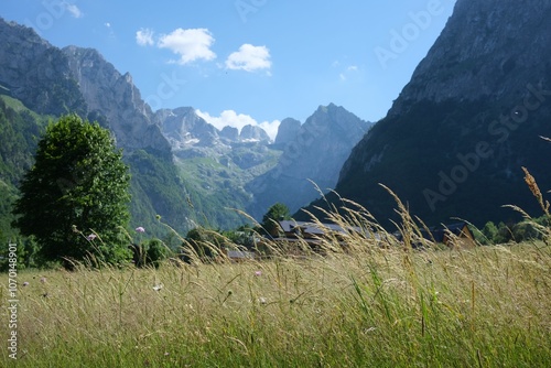 Scenic view of a green meadow, rocky mountains, and blue sky in National Park Prokletije, Montenegro photo