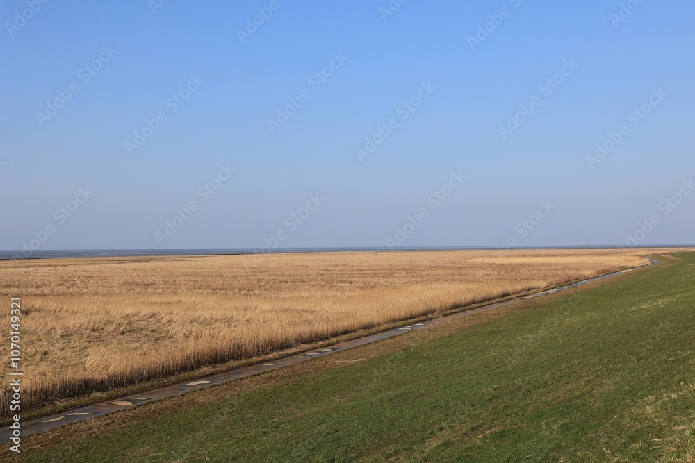 Obraz premium Blick auf die Küstenlandschaft bei Cuxhaven an der Nordsee