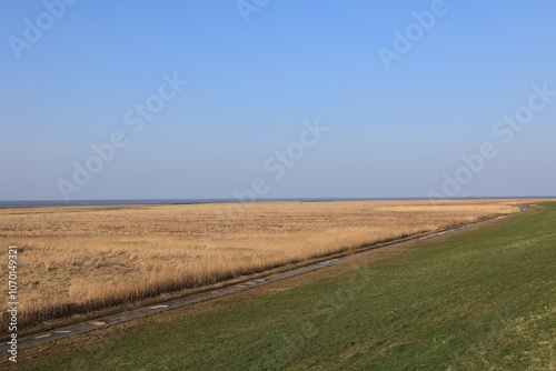 Blick auf die Küstenlandschaft bei Cuxhaven an der Nordsee