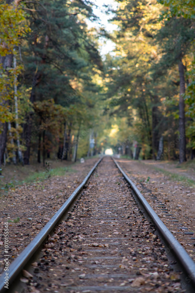Railway track through a forest in autumn, surrounded by trees with vibrant fall foliage Railway track through a forest in autumn, surrounded by trees with vibrant fall foliage