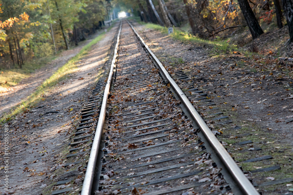Railway track through a forest in autumn, surrounded by trees with vibrant fall foliage Railway track through a forest in autumn, surrounded by trees with vibrant fall foliage
