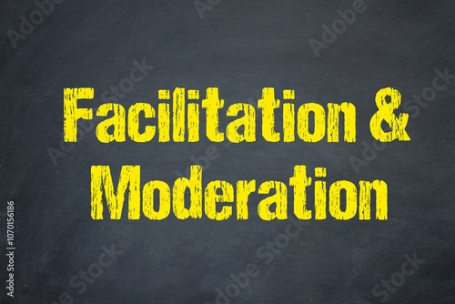 Facilitation & Moderation 