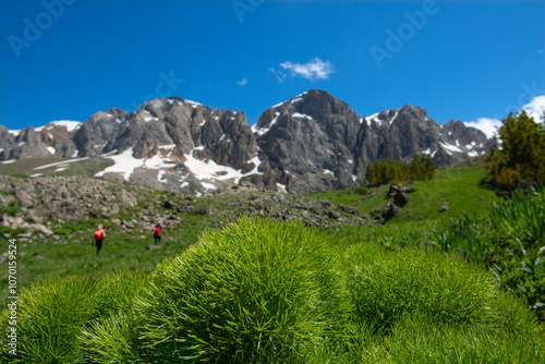 People walking on green land. Trekking and hiking in Tunceli mountains. Green mountains and plains of Tunceli. Pülümür Valley, Buyer Mountain, Sarıgül Plateau. Tunceli, Türkiye. photo