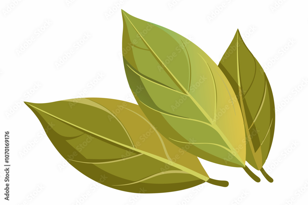 Naklejka premium Dried bay leaves isolated on a white background